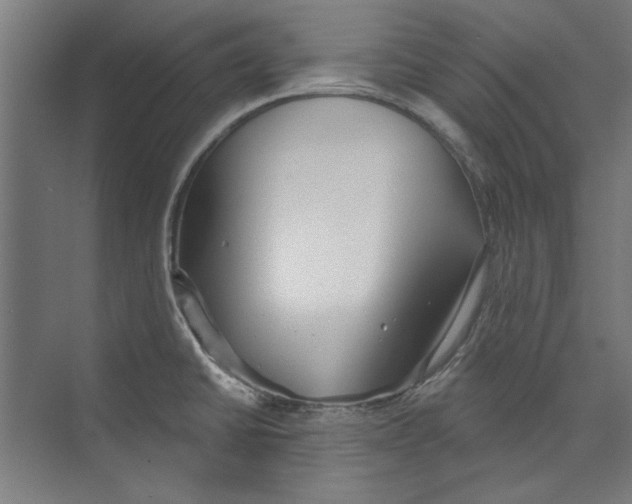 X0000073831430200609071503