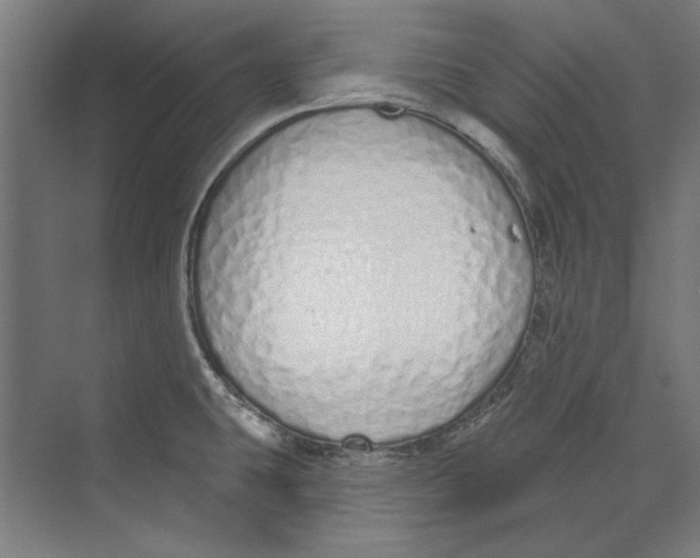 X0000073831431200609071503