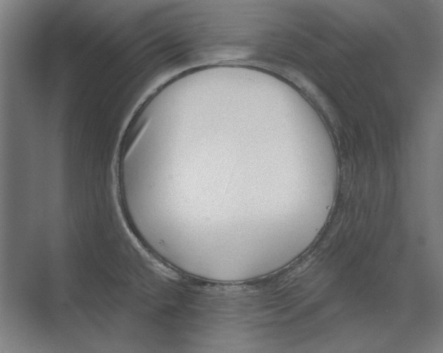 X0000073831432200609071503