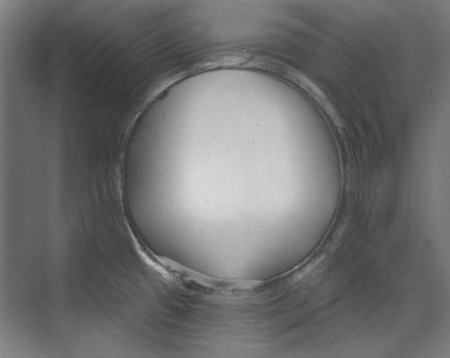 X0000073831433200609071503