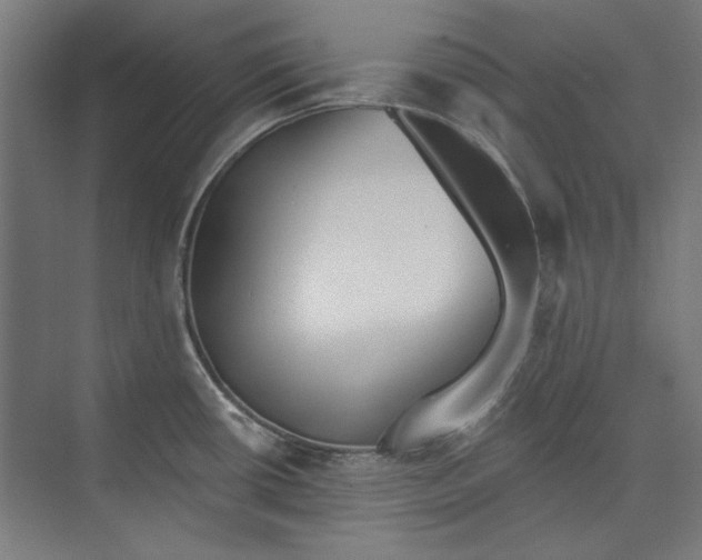 X0000073831434200609071503