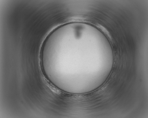 X0000073831435200609071503