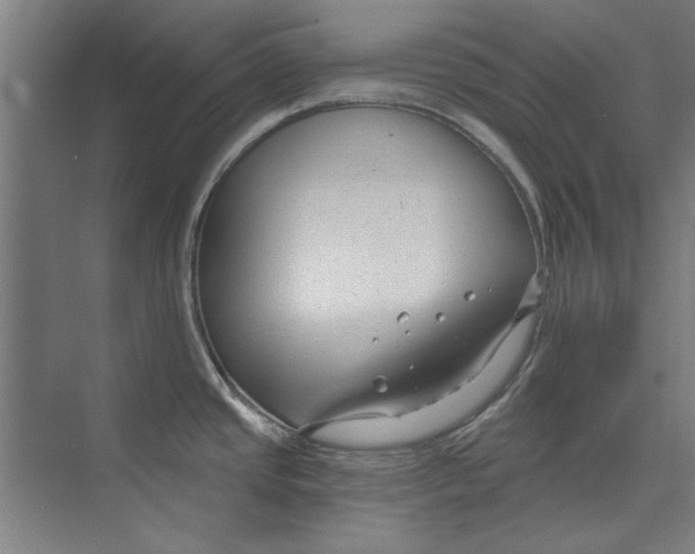 X0000073831437200609071503