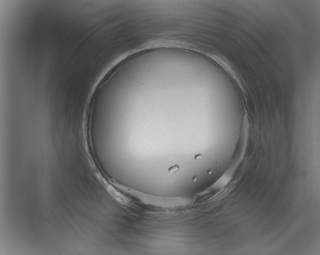 X0000073831438200609071503