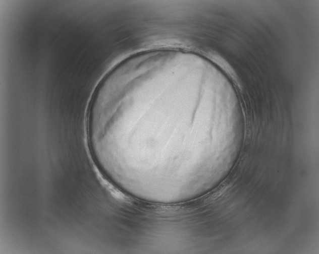 X0000073831439200609071503