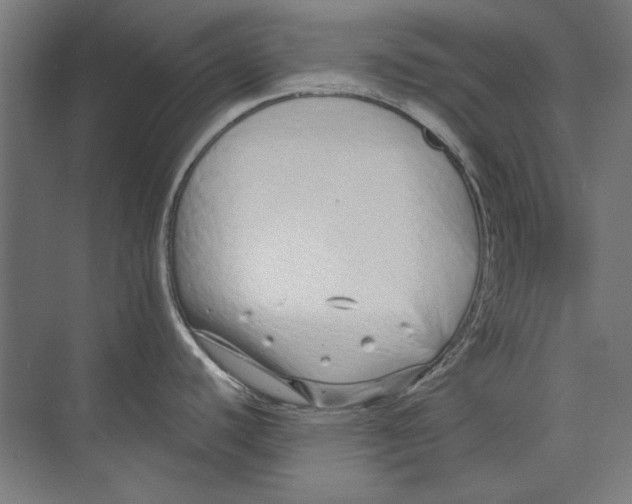 X0000073831440200609071503