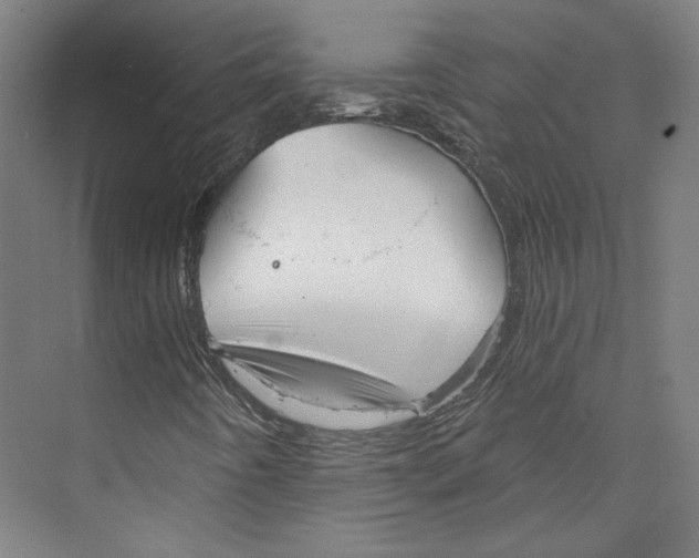 X0000073831442200609071502