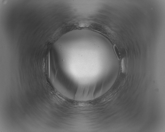 X0000073831443200609071502