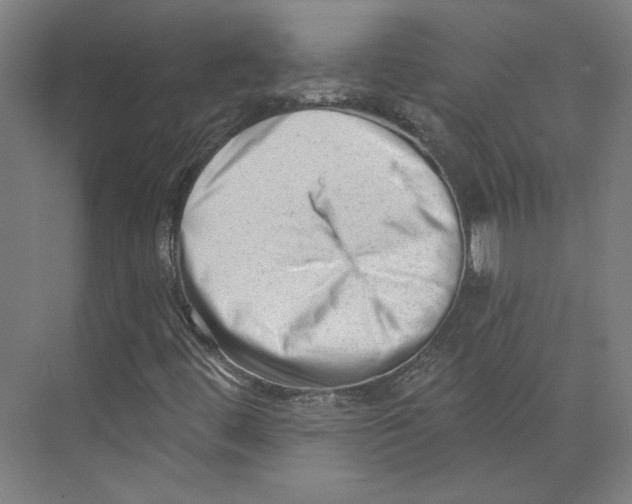 X0000073831444200609071502