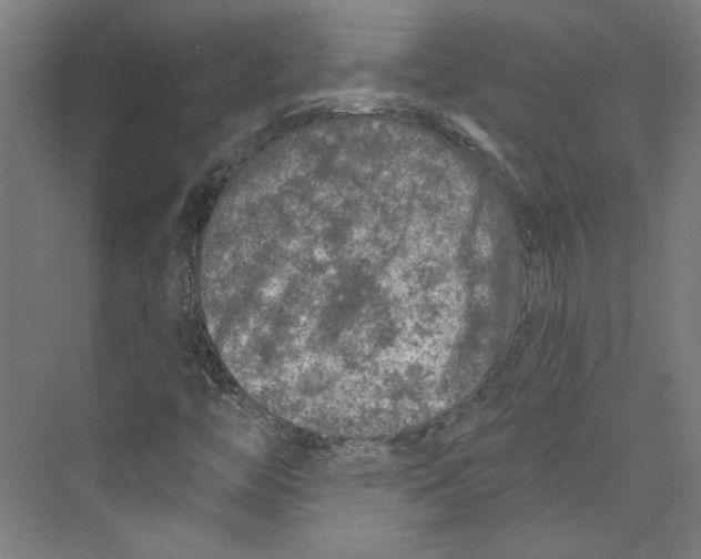 X0000073831446200609071502