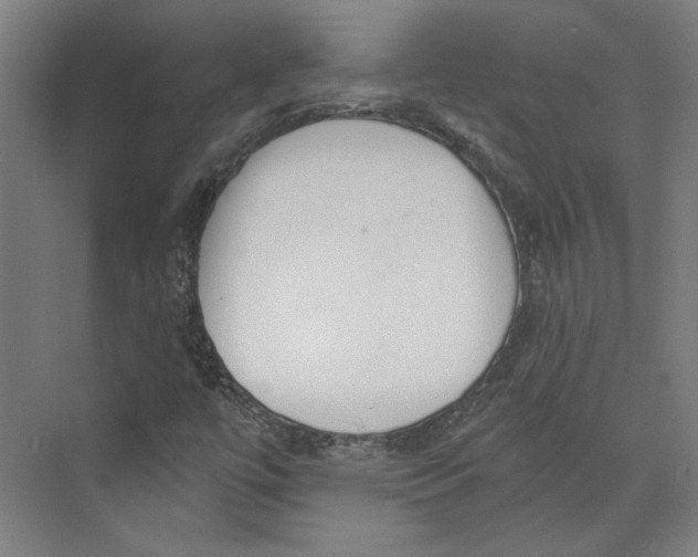 X0000073831447200609071502