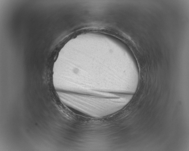 X0000073831448200609071502