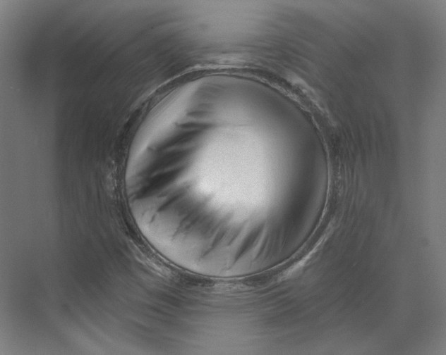 X0000073831449200609071502