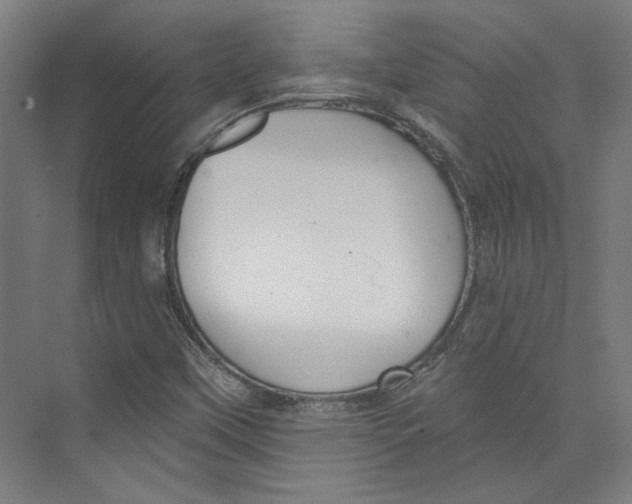 X0000073831451200609071502