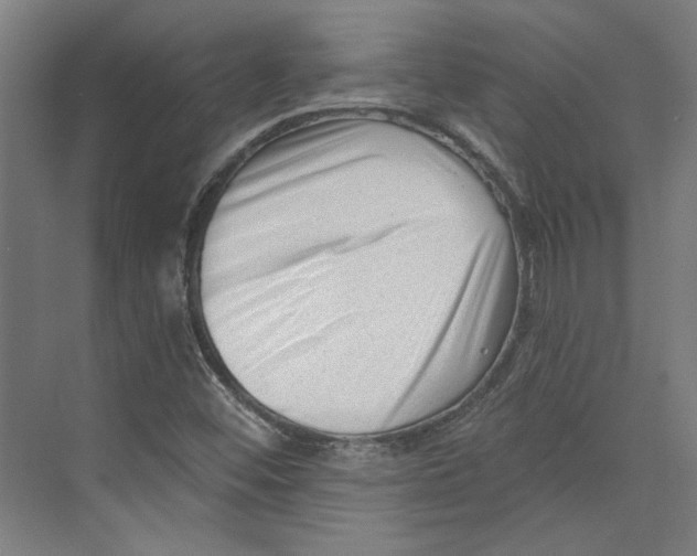 X0000073831452200609071502