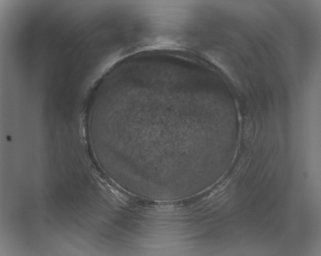 X0000073831455200609071502