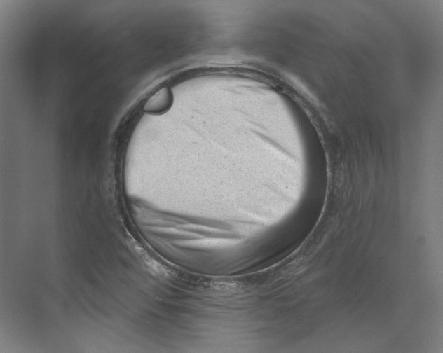 X0000073831456200609071502