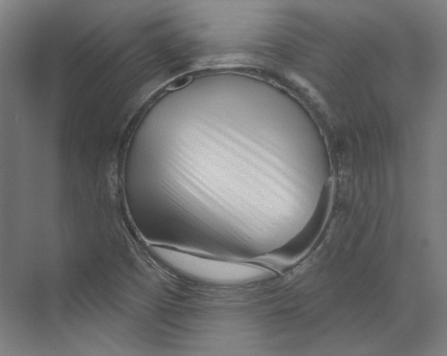 X0000073831457200609071502