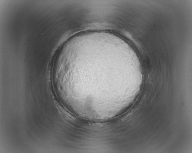 X0000073831459200609071502