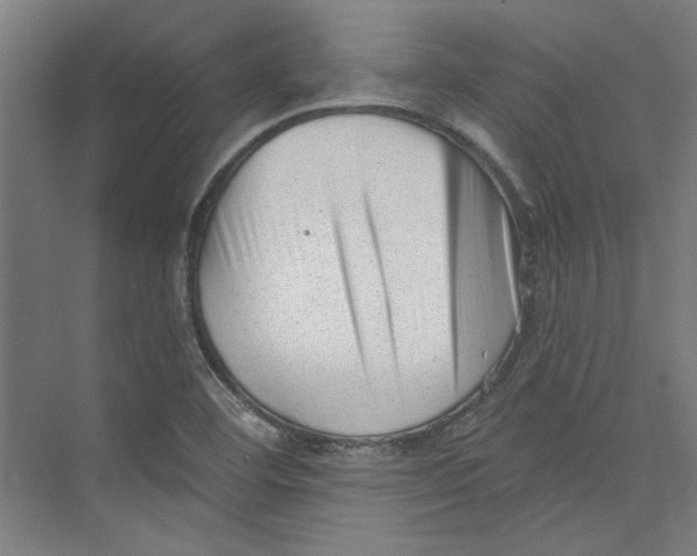 X0000073831460200609071502