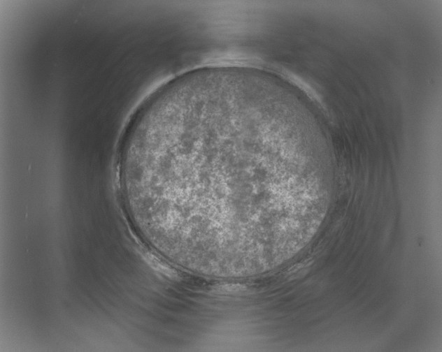 X0000073831462200609071502