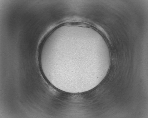 X0000073831464200609071502