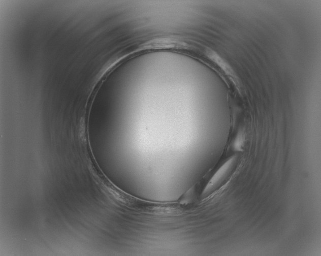 X0000073831465200609071502