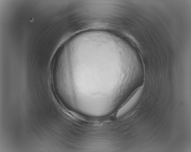 X0000073831467200609071502