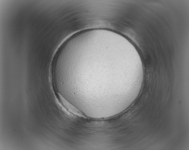 X0000073831468200609071502