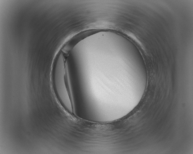 X0000073831469200609071502