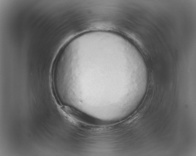 X0000073831471200609071502