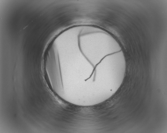 X0000073831472200609071502