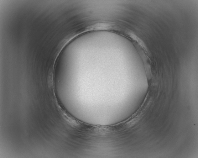 X0000073831473200609071502