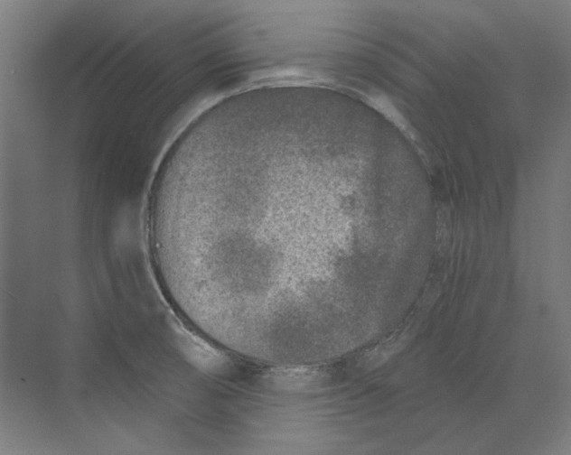 X0000073831474200609071502