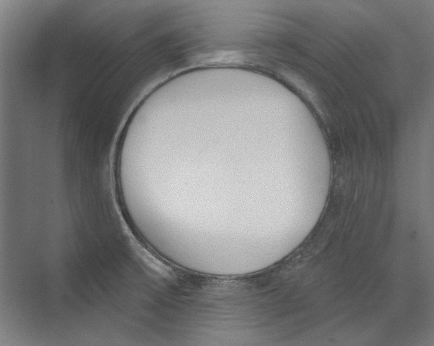 X0000073831475200609071502