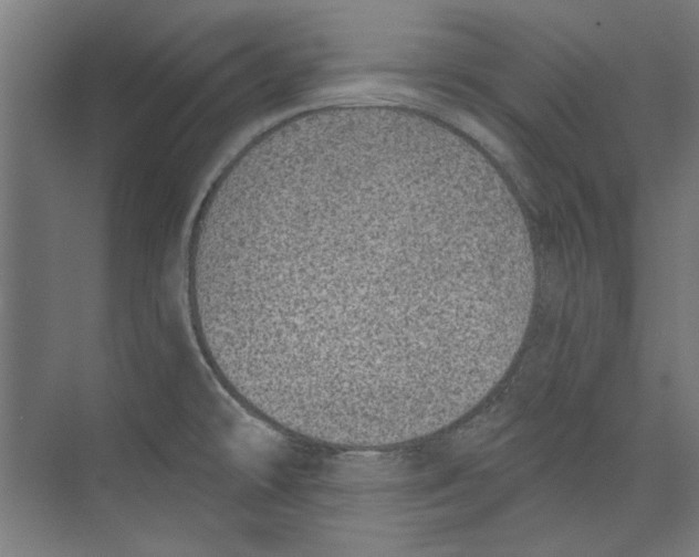 X0000073831478200609071502