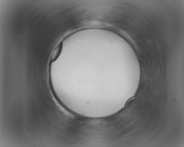 X0000073831479200609071502