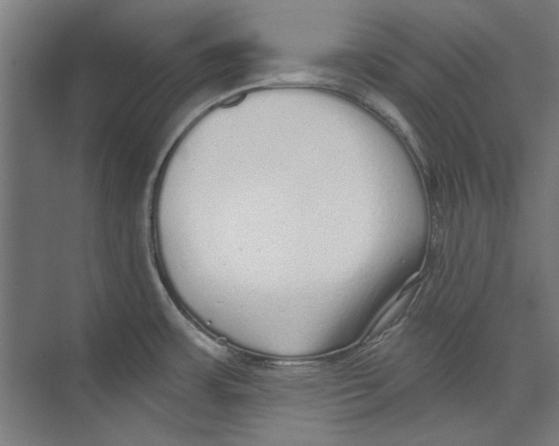 X0000073831483200609071502