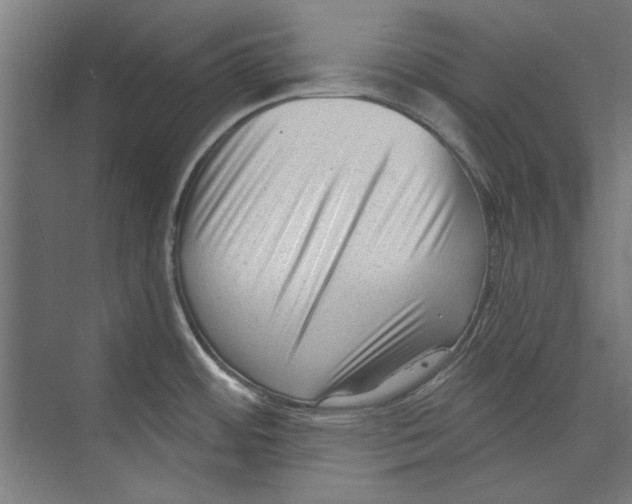 X0000073831484200609071502