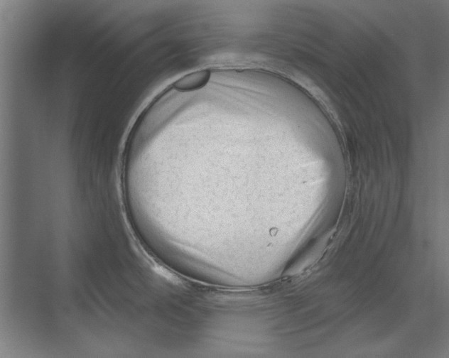 X0000073831486200609071502