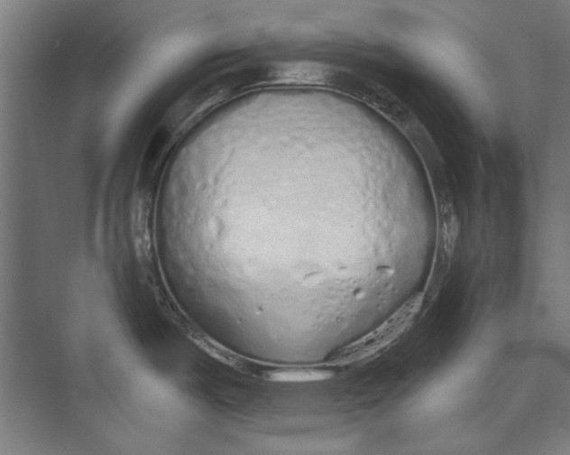 X0000073831487200609071502