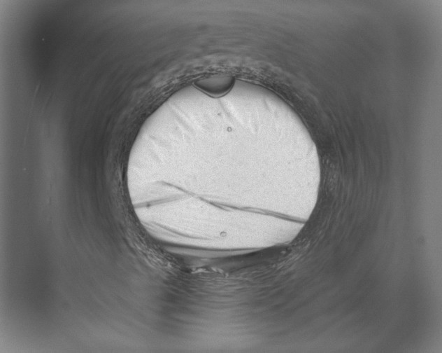 X0000073831489200609071501