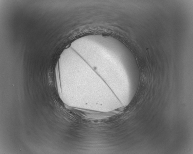 X0000073831490200609071501