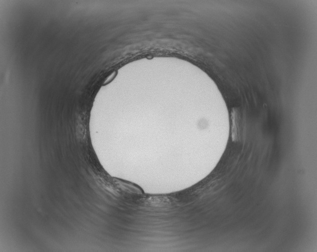 X0000073831491200609071501