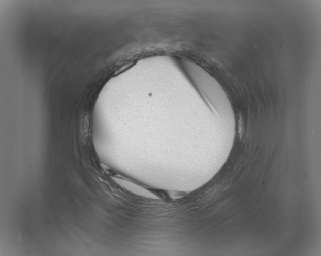 X0000073831492200609071501