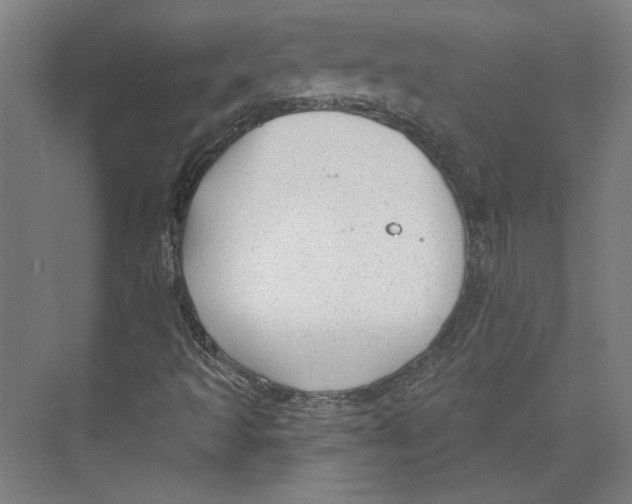 X0000073831493200609071501