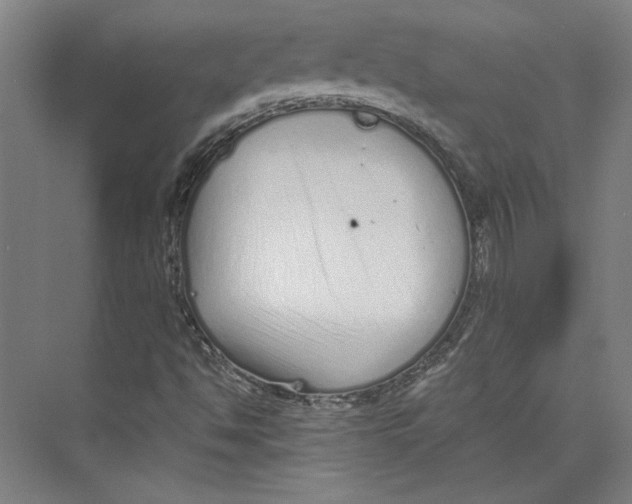 X0000073831494200609071501