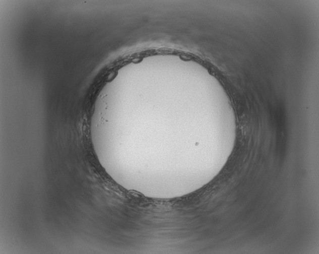 X0000073831495200609071501