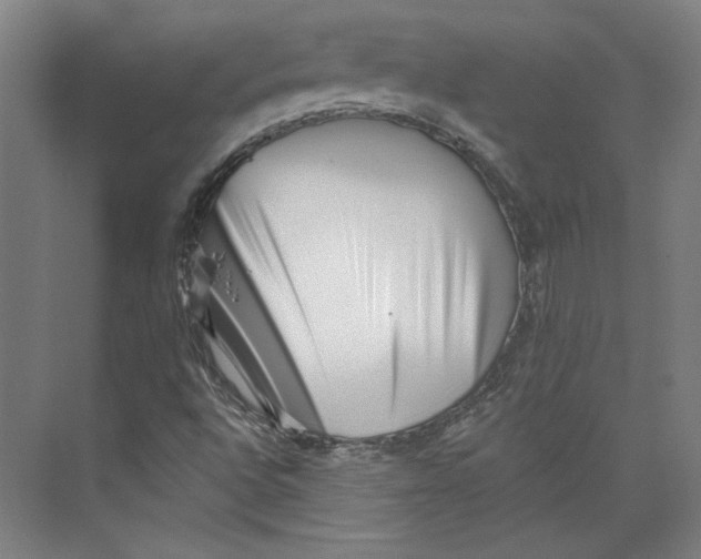 X0000073831496200609071501