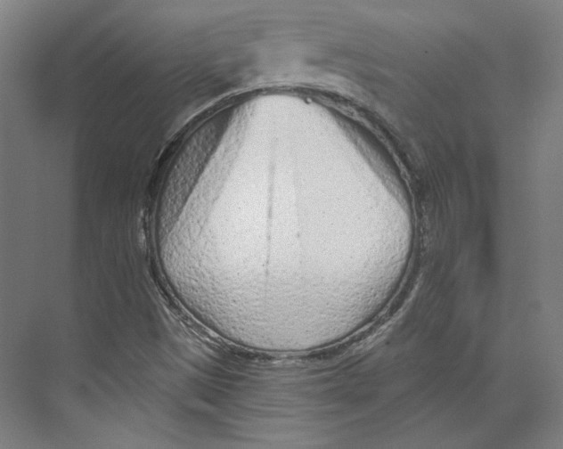 X0000073831497200609071501